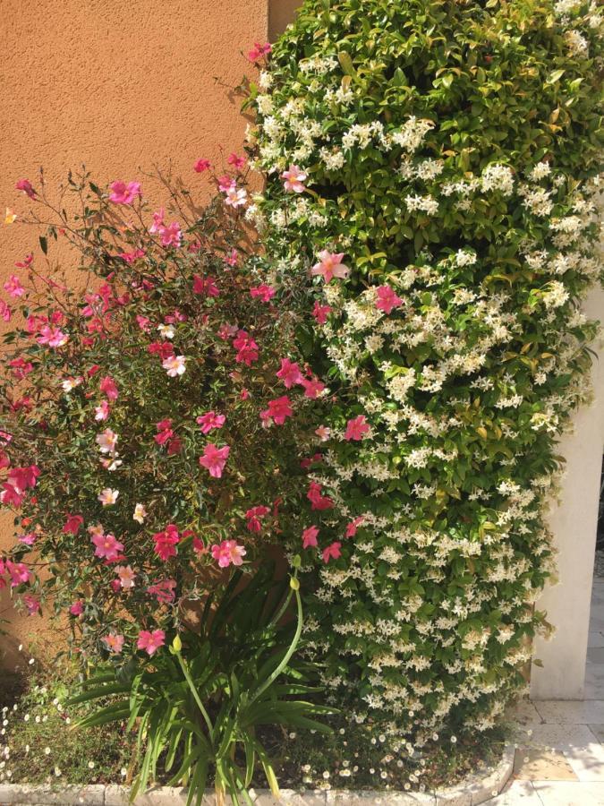 Bed and Breakfast Les Lavandes Alleins Exterior foto