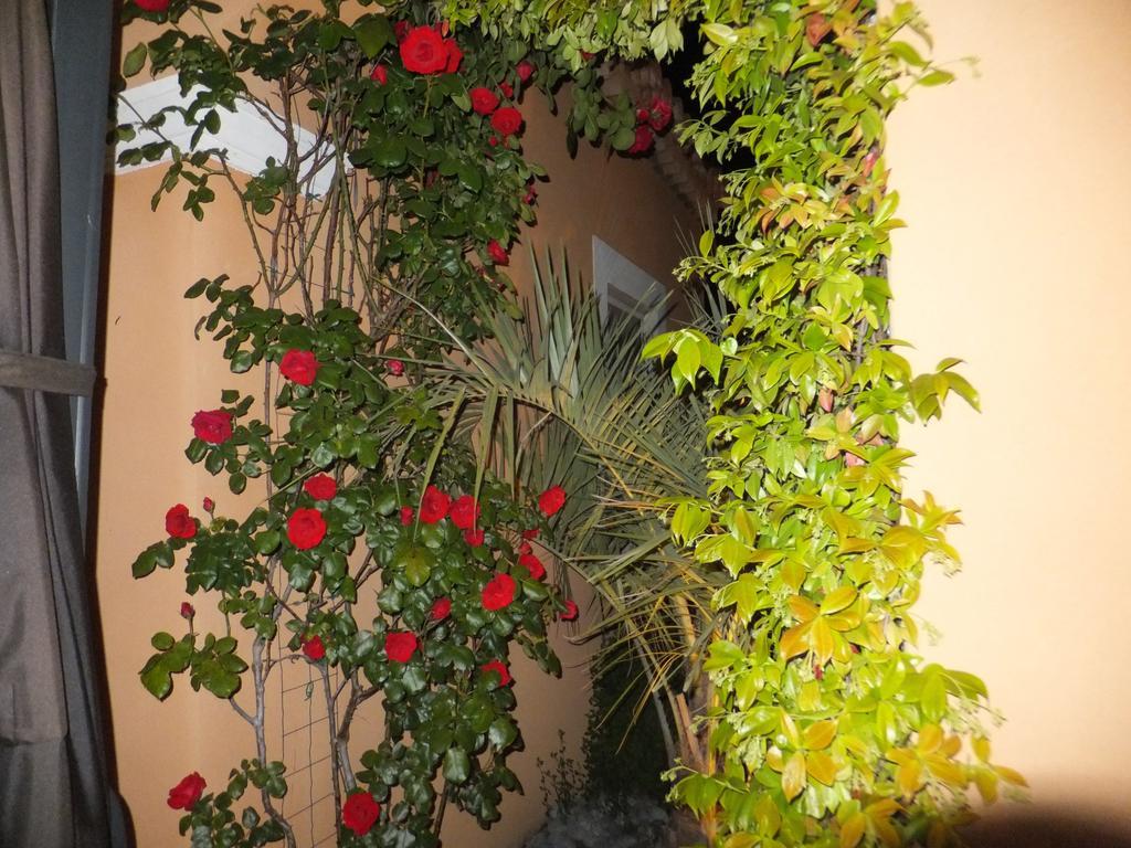 Bed and Breakfast Les Lavandes Alleins Zimmer foto